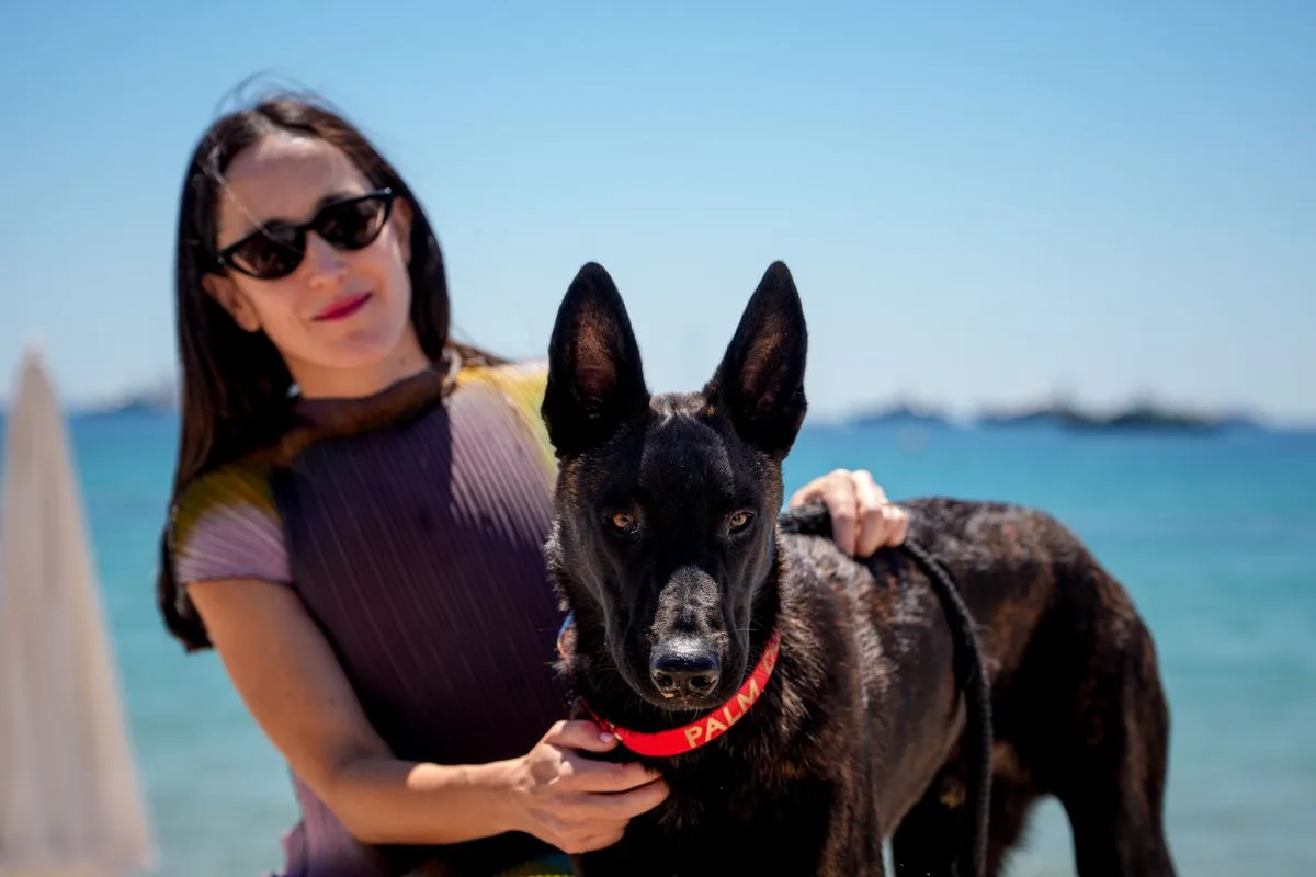 La Perra” gana el Premio Palm Dog en el Festival de Cannes, destacando a los protagonistas caninos