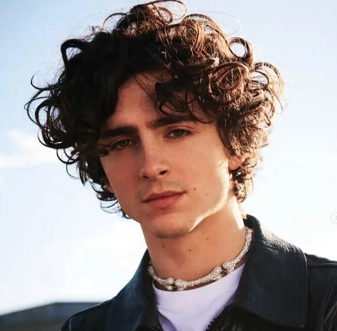 Timothée Chalamet destaca el carácter único de “Dune: Parte Tres” frente a las entregas anteriores